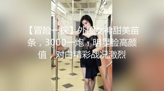 【冒险一探】外围女神甜美苗条，3000一炮，明星脸高颜值，对白精彩战况激烈