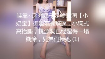 哇靠~这对奶子足够圆润【小奶宝】御姐范蝴蝶逼，小狗式高抬腿，桃源洞已经湿得一塌糊涂，兄弟们操她 (1)