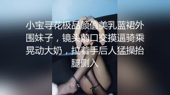 小宝寻花极品颜值美乳蓝裙外围妹子，镜头前口交摸逼骑乘晃动大奶，拉着手后人猛操抬腿侧入