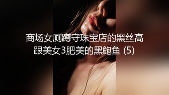 商场女厕蹲守珠宝店的黑丝高跟美女3肥美的黑鲍鱼 (5)