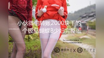 小伙微信转账2000块干的一个极品蝴蝶B少妇完整版